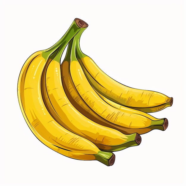 ci sono tre banane gialle e verdi su uno sfondo bianco generativo ai