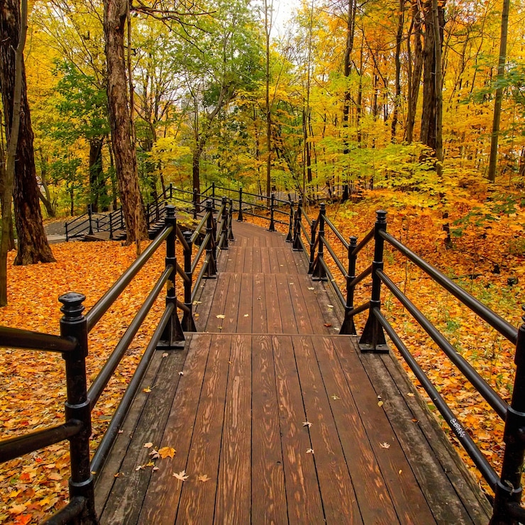 Ciao autunno
