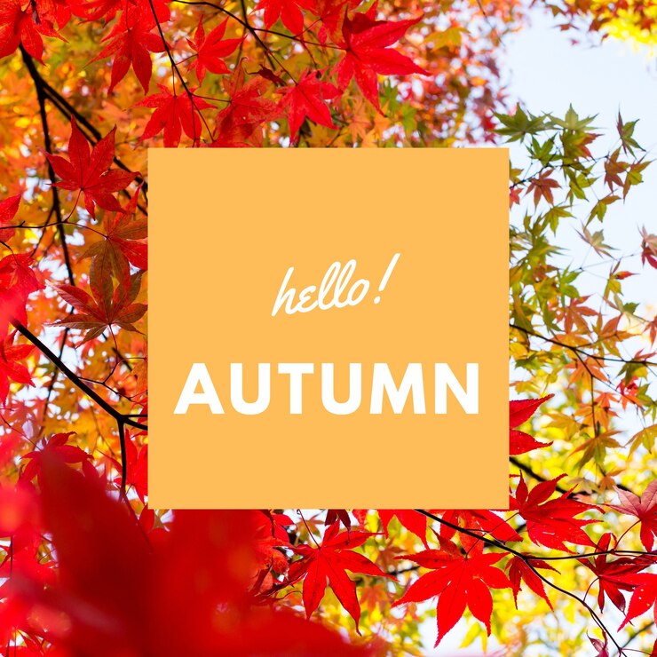Ciao autunno