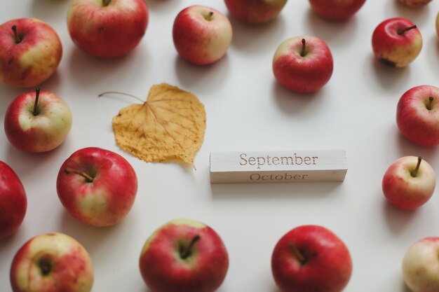 Ciao carta autunnale di settembre con mele rosse fresche su sfondo bianco vista dall'alto