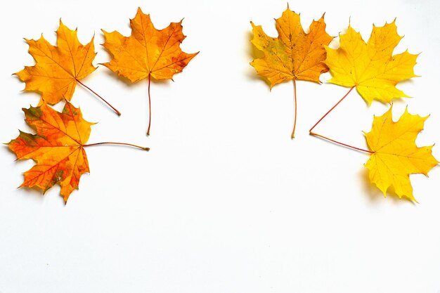 Ciao concetto autunnale Foglie autunnali su sfondo bianco Spazio di copia vista dall'alto piatto