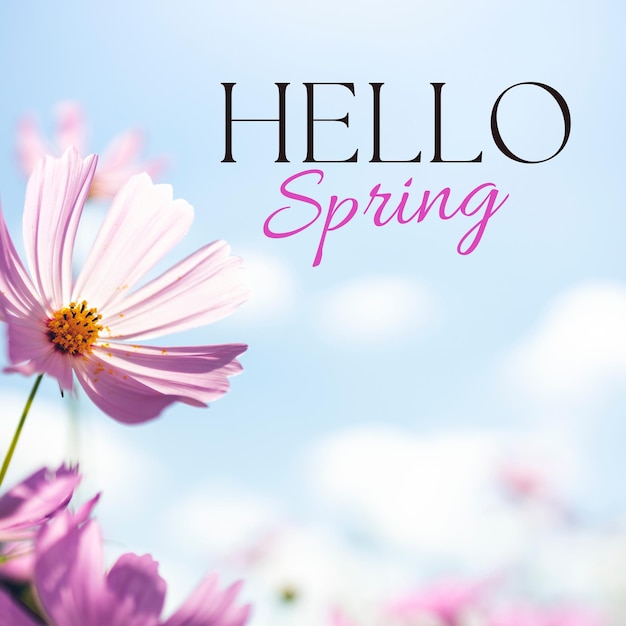 Ciao Primavera 12
