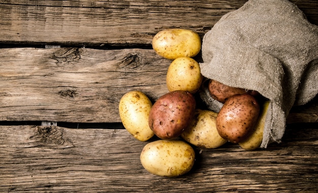 Cibo a base di patate crude. Patate fresche in un vecchio sacco su fondo in legno. Posto libero per il testo.