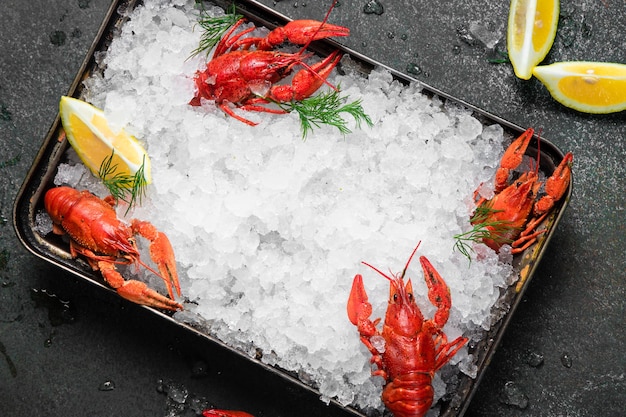 Cibo di gamberi freschi su uno sfondo di banda nera. Spuntino di gamberi rossi a base di pesce con spezie alle erbe, limone, rosmarino e ghiaccio nel ristorante cibo gourmet sano gourmet