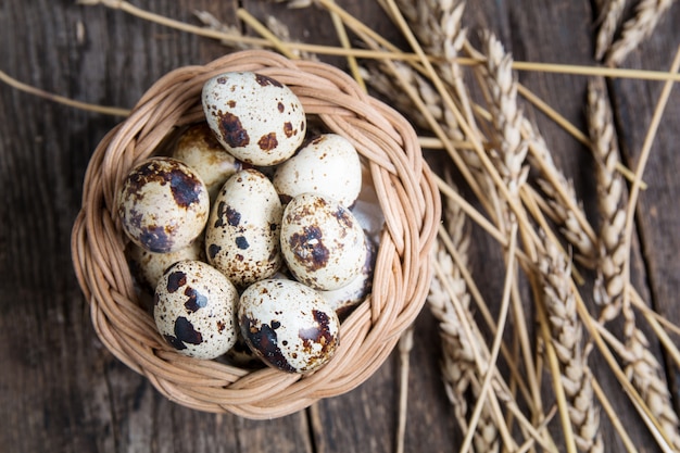 Cibo dieta sana. Uova di quaglia in spighe di grano.