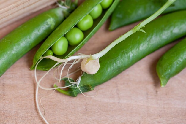 Cibo ecologicamente pulito Green Pea Microgreen su piantina di fondo in legno