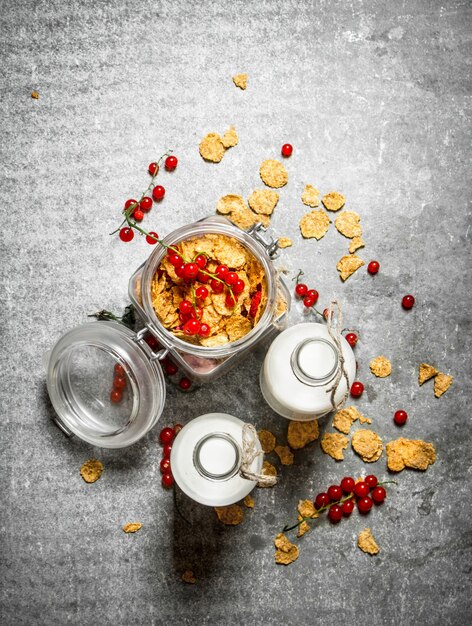 Cibo fitness. Muesli con frutti di bosco e latte. Sul tavolo di pietra.