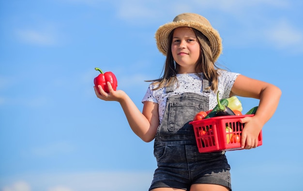 Cibo in contenitori cibo sano per bambini capretto in fattoria estiva Cibo biologico bambina verdura nel cesto Solo raccolto naturale vitamina primavera giardino del mercato piccolo contadino raccolto autunnale