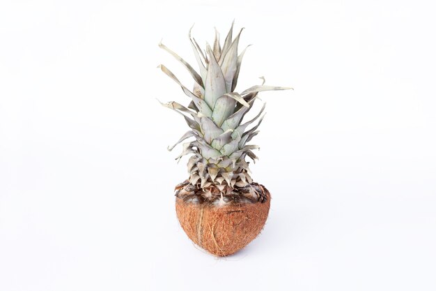 Cibo, minimalismo, colore, natura morta e concetto naturale - ananas fresco e noci di cocco su sfondo bianco