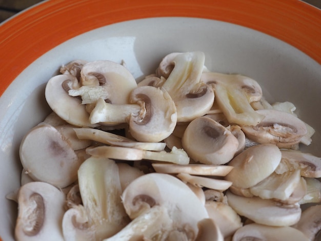 Cibo per funghi champignon