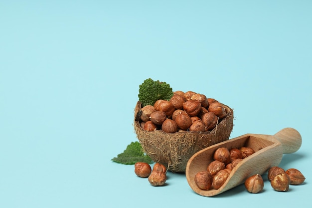 Cibo sano e concetto di nutrizione sana noci nocciola