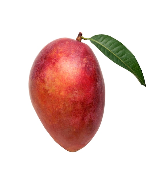 Cibo sano frutta di mango rosso con foglia su sfondo bianco della tavola