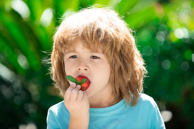 Cibo sano per bambini I bambini scelgono la fragola organica fresca ragazzino carino che mangia una fragola