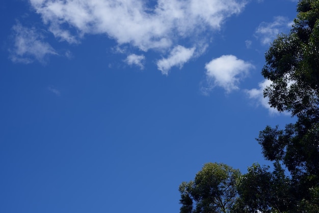 Cieli azzurri Autunno