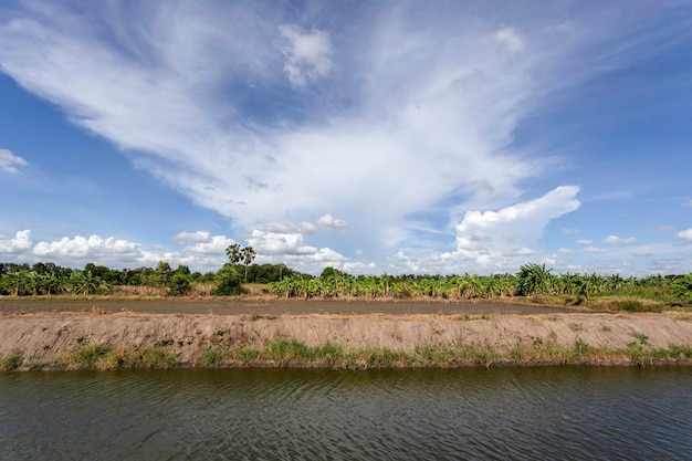 Cieli soleggiati nel pomeriggio d'estate nella campagna thailandese