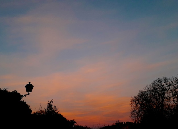 cielo al tramonto a colori con sagome di lampioni e alberi