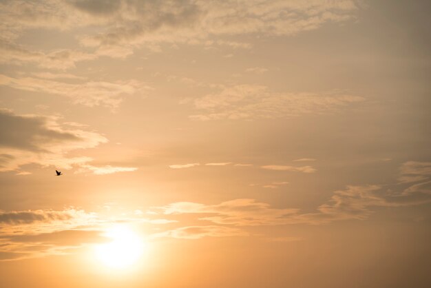 Cielo al tramonto d&#39;oro