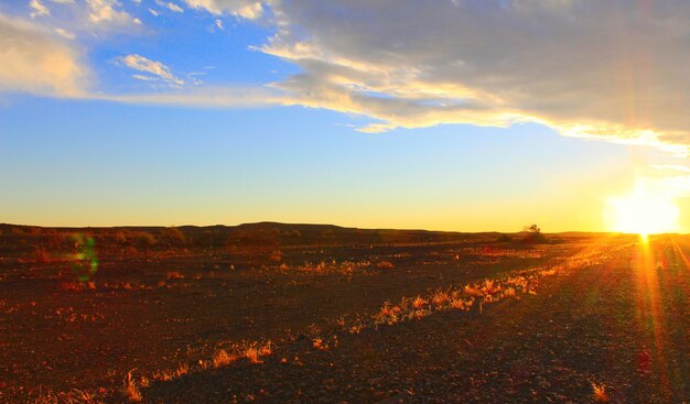 Cielo al tramonto e strada nel deserto