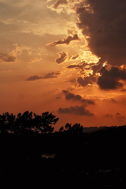 Cielo arancione al tramonto sul campo di mais