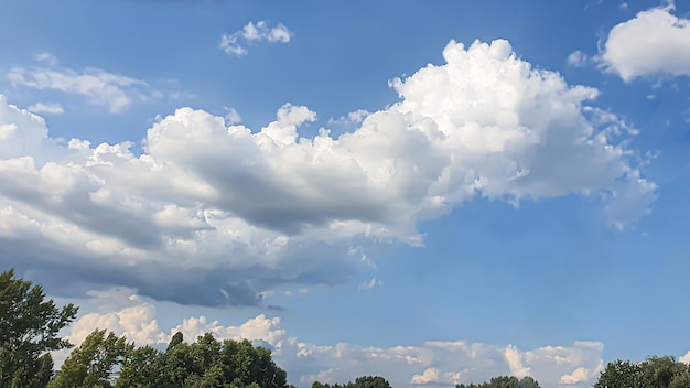 Cielo azzurro con nuvole, uccelli in volo e rami verdi. Natura estiva. Strada. Natura.