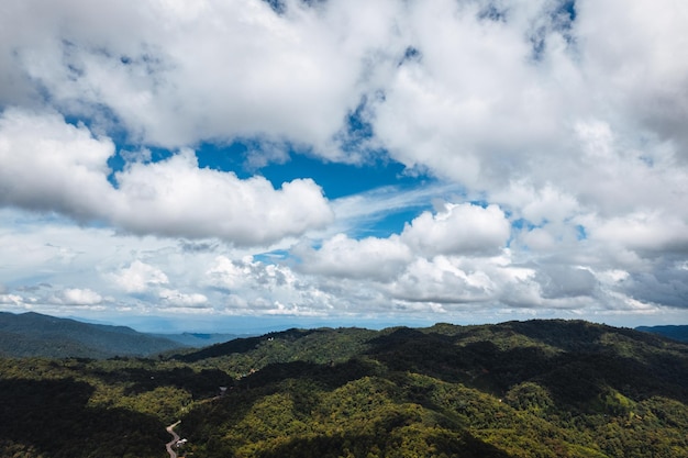 Cielo azzurro con nuvole verdi foresta al mattino