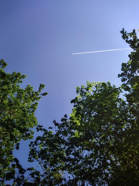 Cielo azzurro con tracce di aeroplani