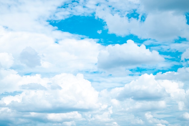 Cielo blu bianco delle nuvole grasse