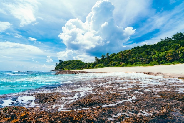 Cielo blu con enormi nuvole bianche in vacanza sulla spiaggia sabbiosa appartata tropicale con vecchi coralli e palme