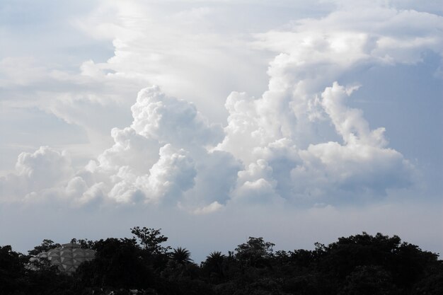 Cielo blu con nuvole bianche.