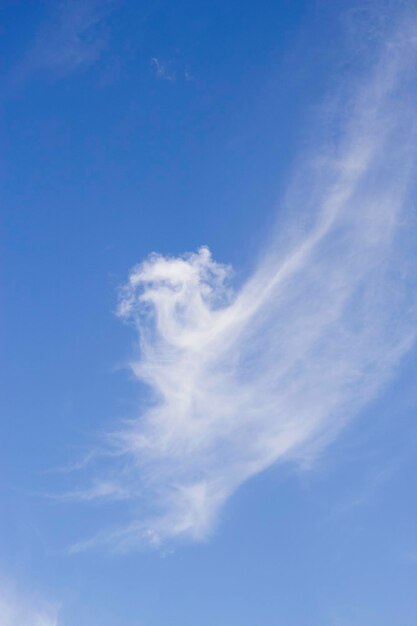 cielo blu con nuvole ricciole