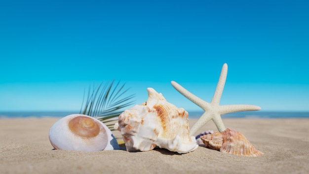 Cielo blu e conchiglie di mare sulla sabbia rendering 3D