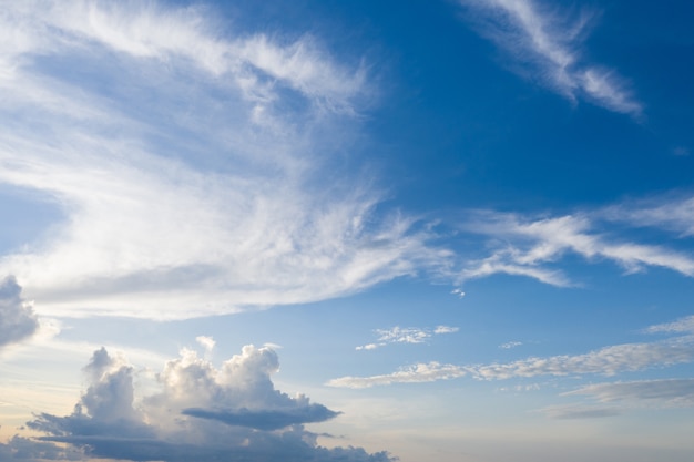 Cielo blu e nuvola con albero di prato.