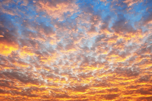 Cielo blu e nuvole nell&#39;alba