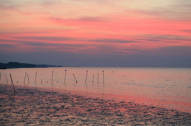 Cielo blu e rosa strabiliante di alba di colore sopra il mare calmo del golfo di Tailandia