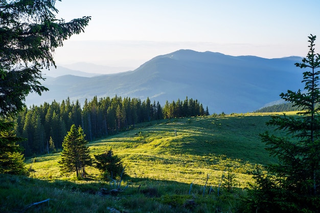 Cielo blu e verdi colline.