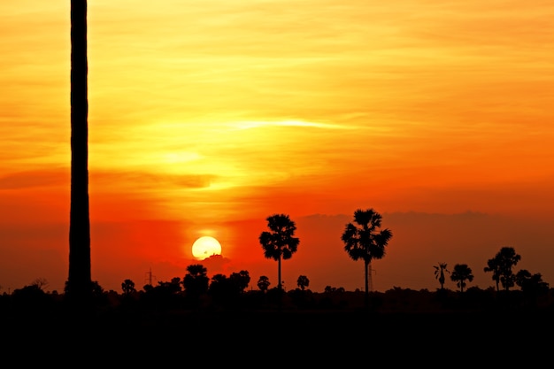 Cielo colorato al tramonto in un paese tropicale