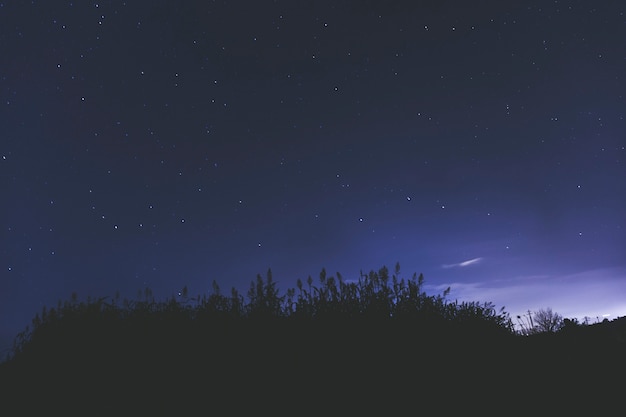 Cielo con stelle di notte