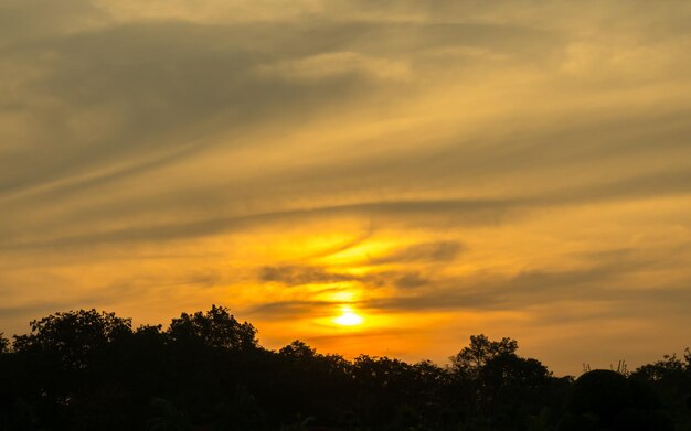 Cielo crepuscolare dorato con silhouette in primo piano