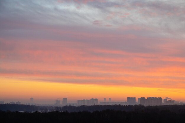 Cielo di alba colorato sopra il parco cittadino all'alba fredda