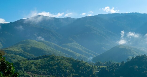 Cielo di montagne per nuvole e nebbia della natura