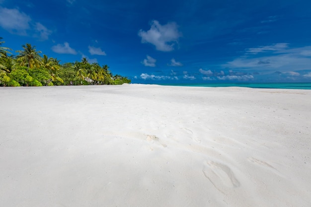 Cielo di sabbia di mare, paesaggio tropicale vuoto della spiaggia. Vista idilliaca e tranquilla della natura. Splendido scenario della spiaggia