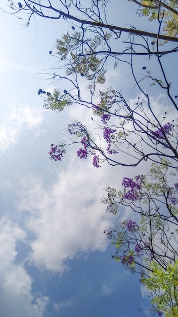 cielo di sfondo