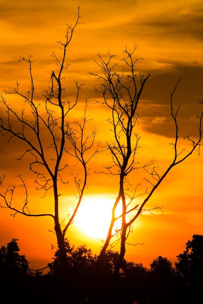 cielo drammatico colorato con nuvole al tramonto