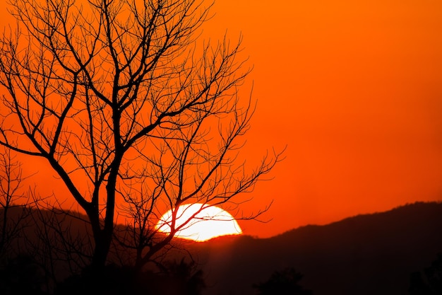 cielo drammatico colorato con nuvole al tramonto