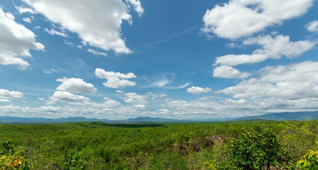 Cielo e foresta