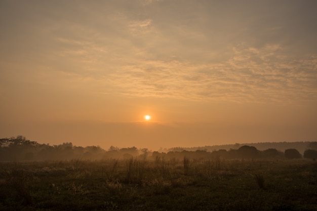 Cielo e sole al mattino