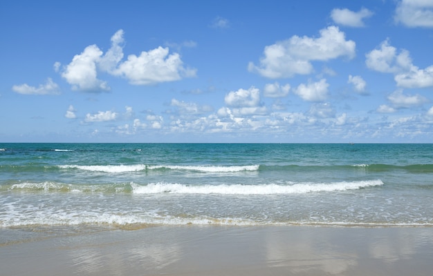 Cielo e spiaggia per lo sfondo.