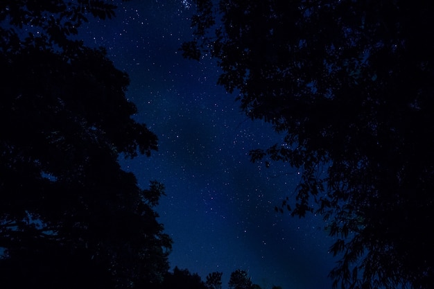 Cielo e stelle di notte