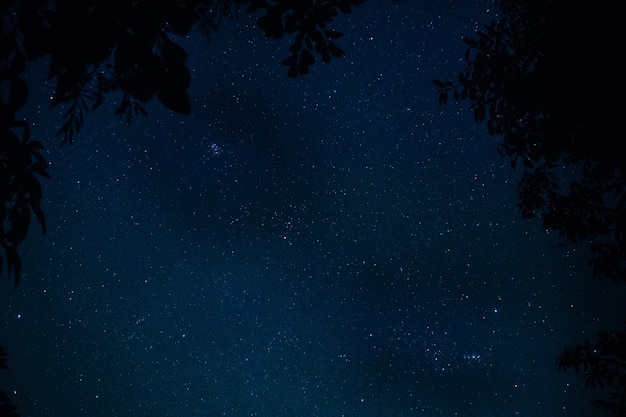 Cielo e stelle di notte