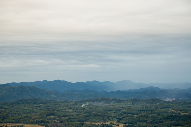 Cielo foresta di montagna